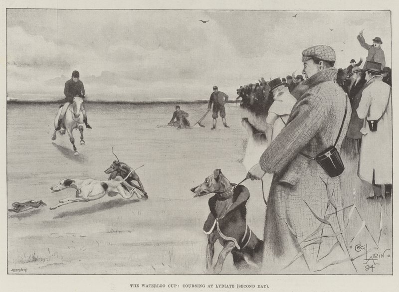 The Waterloo Cup, coursing at Lydiate, Second day by Cecil Charles Windsor Aldin