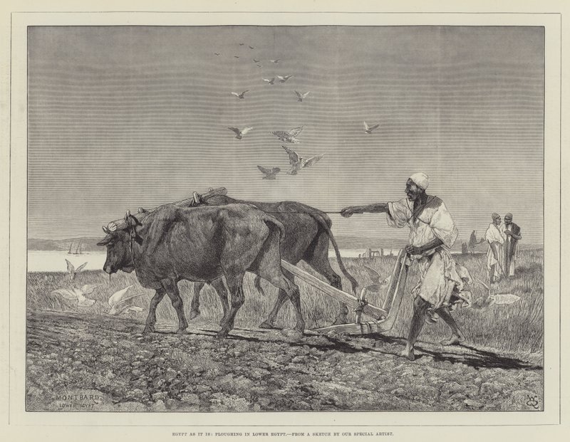 Egypt as It Is, Ploughing in Lower Egypt by Charles Auguste Loye