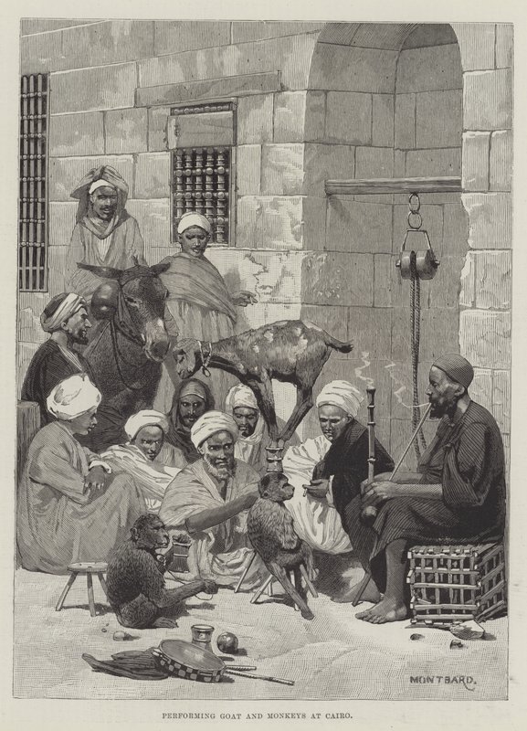 Performing Goat and Monkeys at Cairo by Charles Auguste Loye