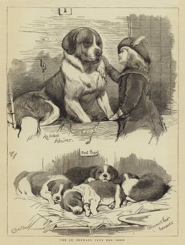 The St Bernard Club Dog Show by Charles Burton