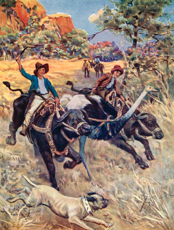 Illustration for The Swiss Family Robinson by Charles Daniel Ward