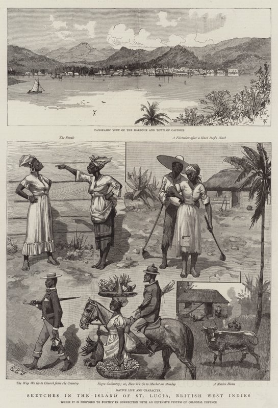 Sketches in the Island of St Lucia, British West Indies by Charles Edwin Fripp