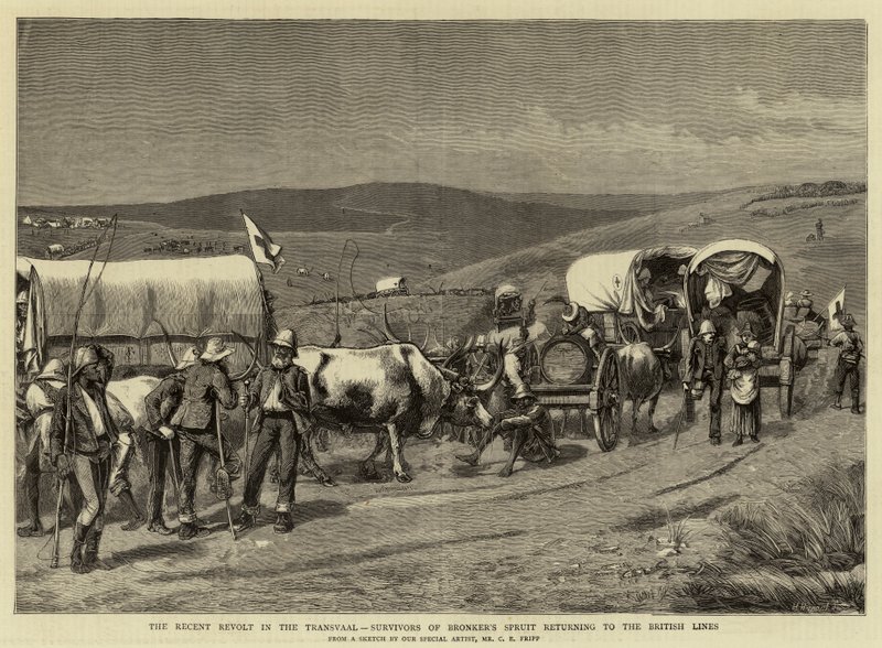 The Recent Revolt in the Transvaal, Survivors of Bronker