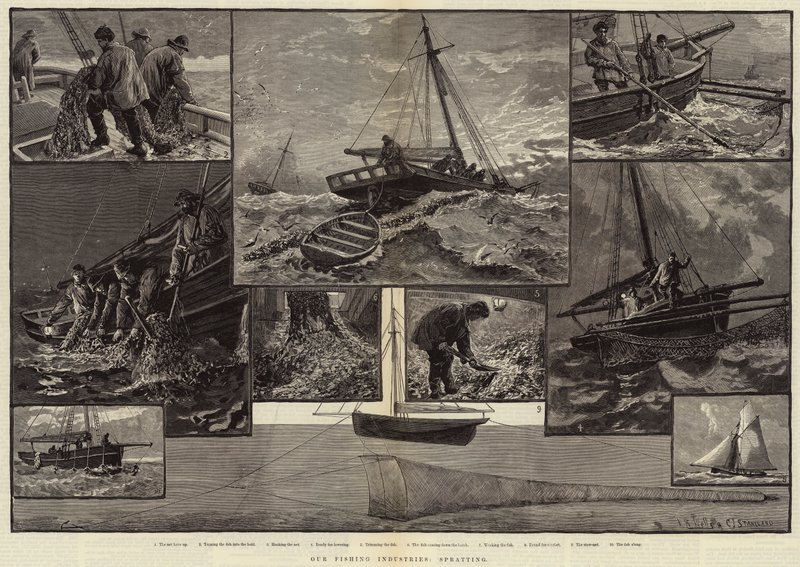Our Fishing Industries, Spratting by Charles J. Staniland