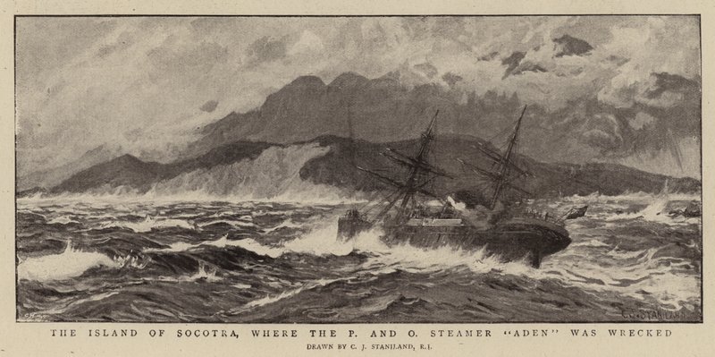 The Island of Socotra, where the P and O Steamer Aden was Wrecked by Charles J. Staniland