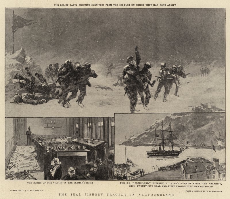 The Seal Fishery Tragedy in Newfoundland by Charles J. Staniland