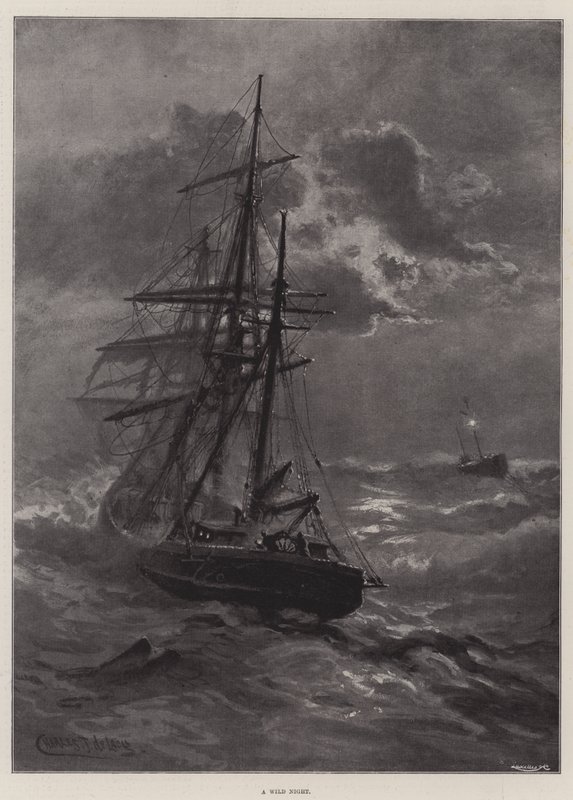 A Wild Night by Charles John de Lacy