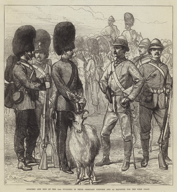 Officers and Men of the 23rd Fusiliers in Their Ordinary Uniform and as Equipped for the Gold Coast by Sir John Charles Robinson