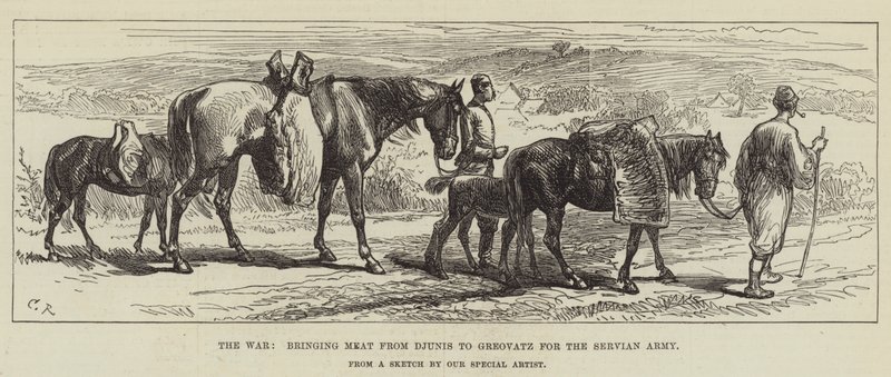 The War, Bringing Meat from Djunis to Greovatz for the Servian Army by Sir John Charles Robinson