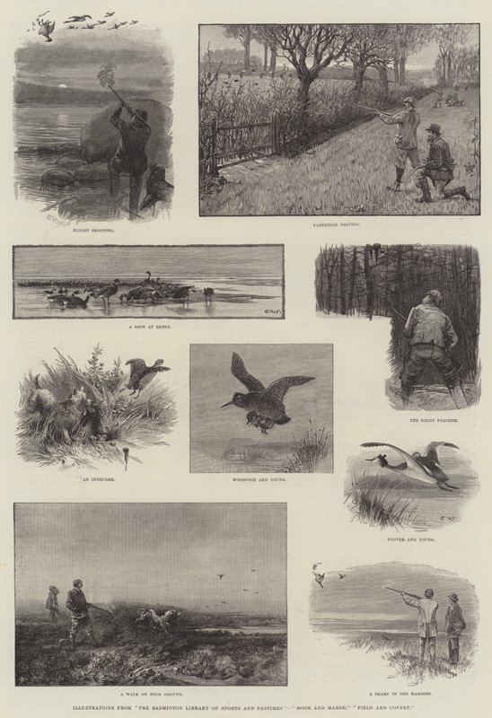 Illustrations from The Badminton Library of Sports and Pastimes, Moor and Marsh, Field and Covert by Charles Whymper