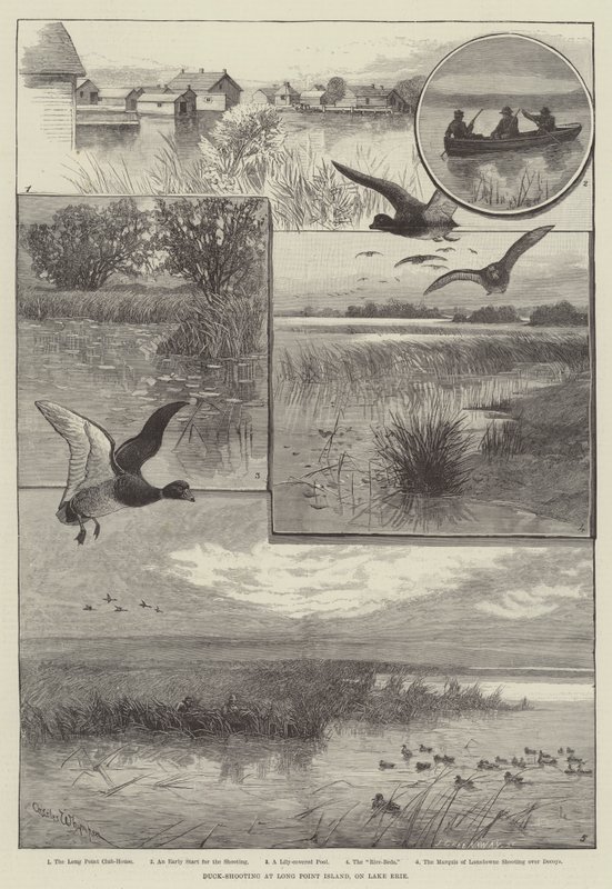 Duck-Shooting at Long Point Island, on Lake Erie (engraving) by Charles (after) Whymper