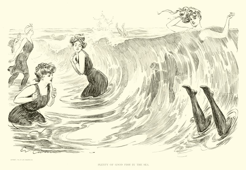 Illustration for The Social Ladder by Charles Dana Gibson