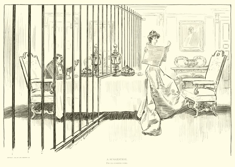 Illustration for The Social Ladder by Charles Dana Gibson