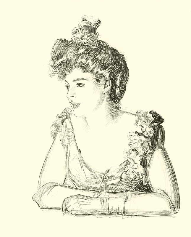 Illustration for The Social Ladder by Charles Dana Gibson