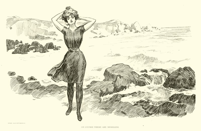 Illustration for The Social Ladder by Charles Dana Gibson
