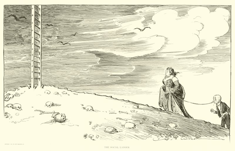 Illustration for The Social Ladder by Charles Dana Gibson