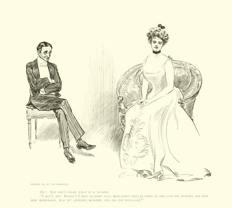 Illustration for The Social Ladder by Charles Dana Gibson