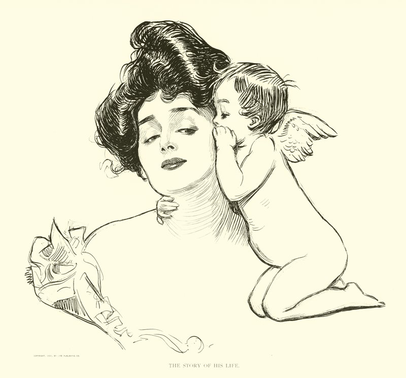 Illustration for The Social Ladder by Charles Dana Gibson