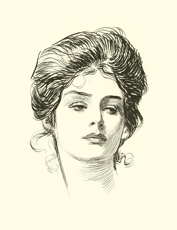 Illustration for The Social Ladder by Charles Dana Gibson