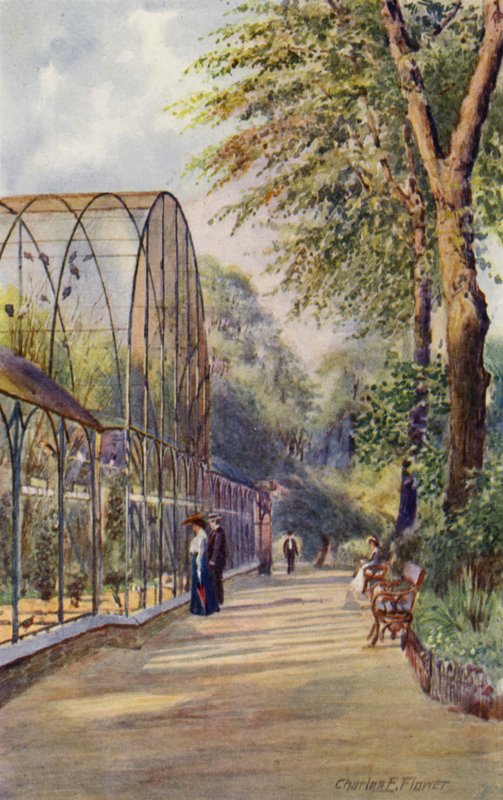 London Zoo: Western Aviary by Charles Edwin Flower