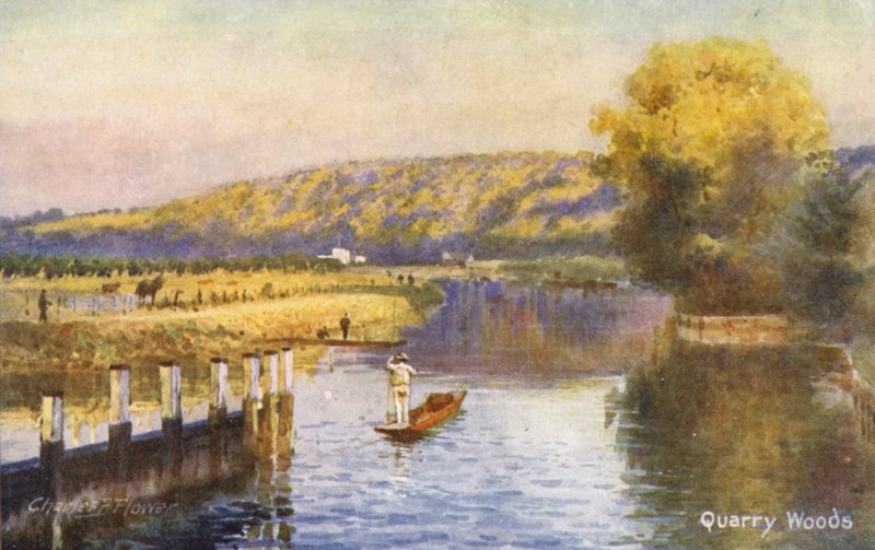 River Thames: Quarry Woods by Charles Edwin Flower