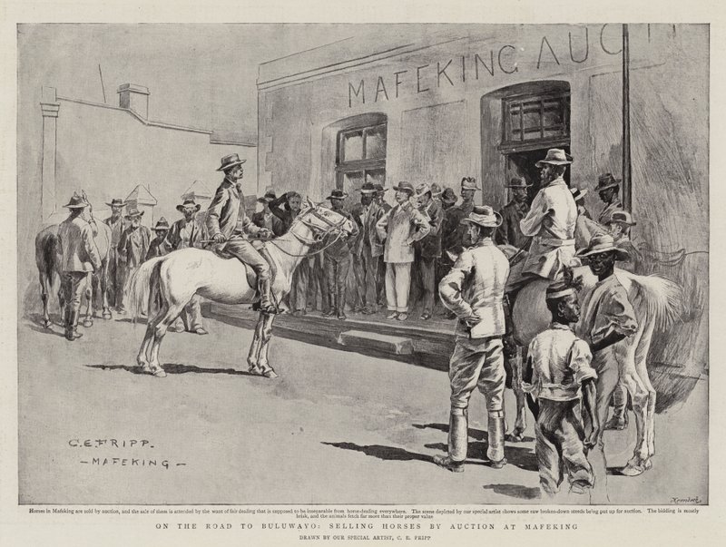 On the Road to Bulawayo, Selling Horses by Auction at Mafeking by Charles Edwin Fripp