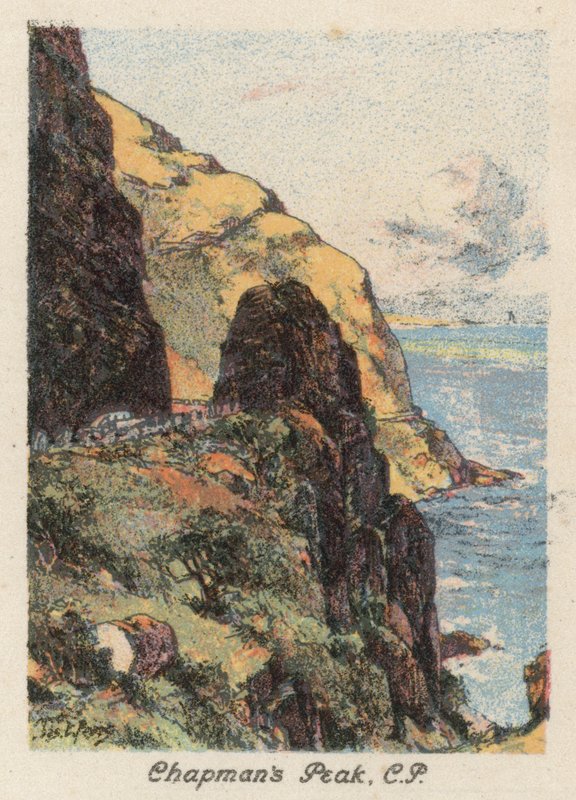 South Africa: Chapman