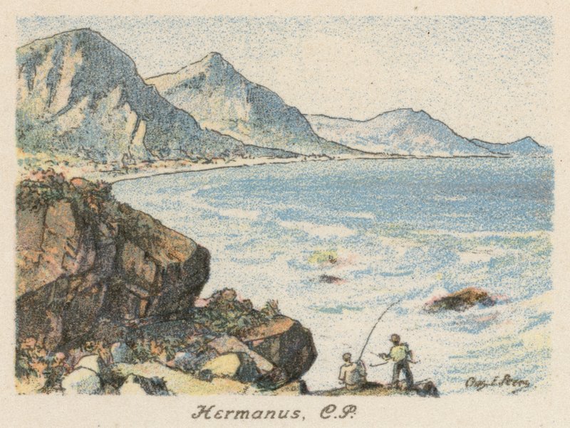 South Africa: Hermanus, CP by Charles Ernest Peers