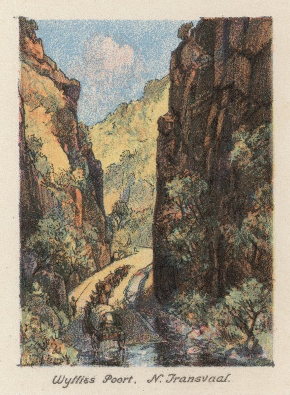South Africa: Wyllies Poort, N Transvaal by Charles Ernest Peers