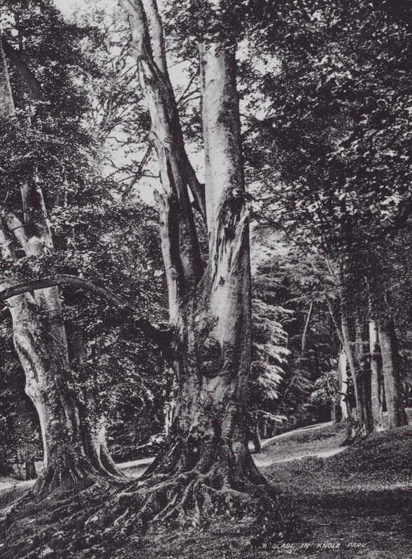 A Glade in Knole Park by Charles Essenhigh Corke