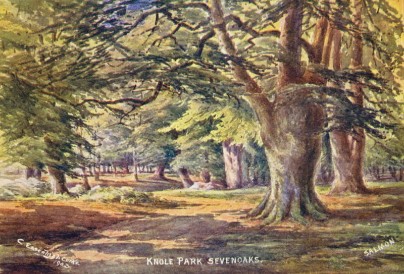 Knole House: Beech Trees in the Park by Charles Essenhigh Corke