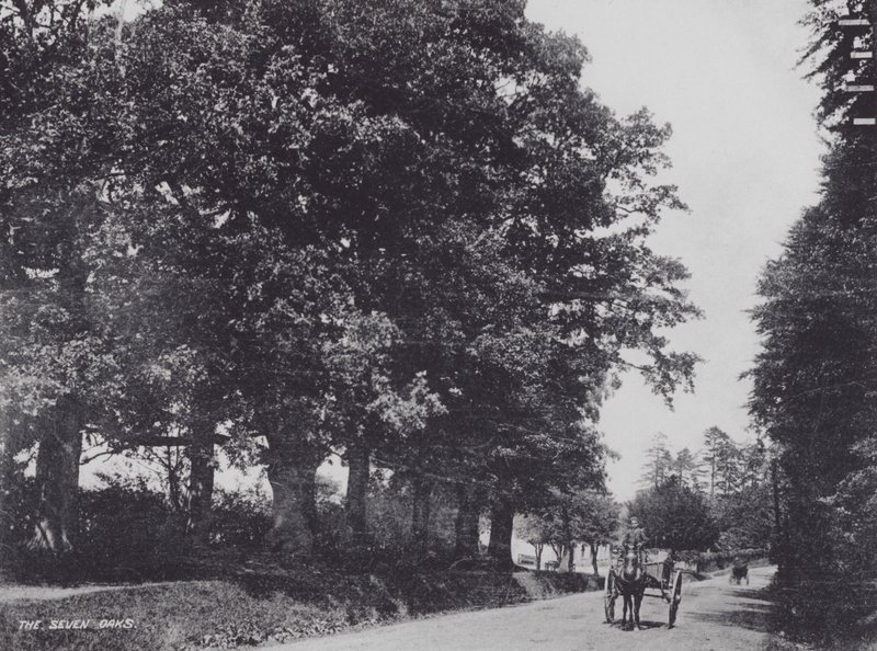 The Seven Oaks by Charles Essenhigh Corke