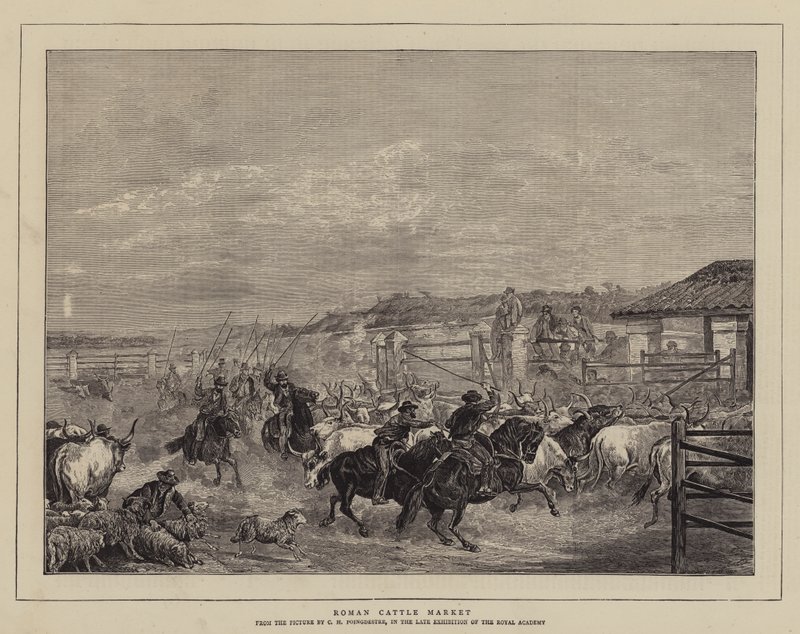 Roman Cattle Market by Charles H. Poingdestre