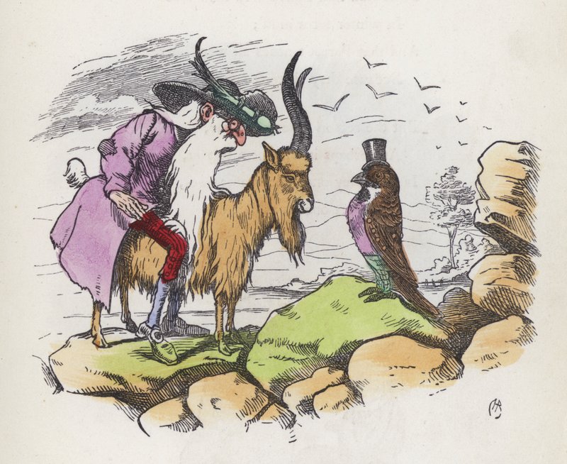 A most impertinent bird by Charles Henry (after) Bennett