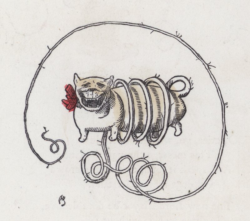 Dog with a very long curly tail by Charles Henry (after) Bennett