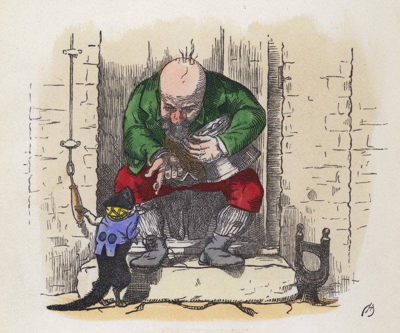 Little black cat ringing a man