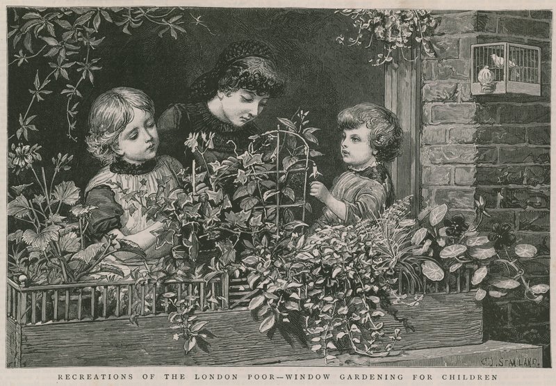 Recreations of the London poor: Window gardening for children by Charles J. Staniland