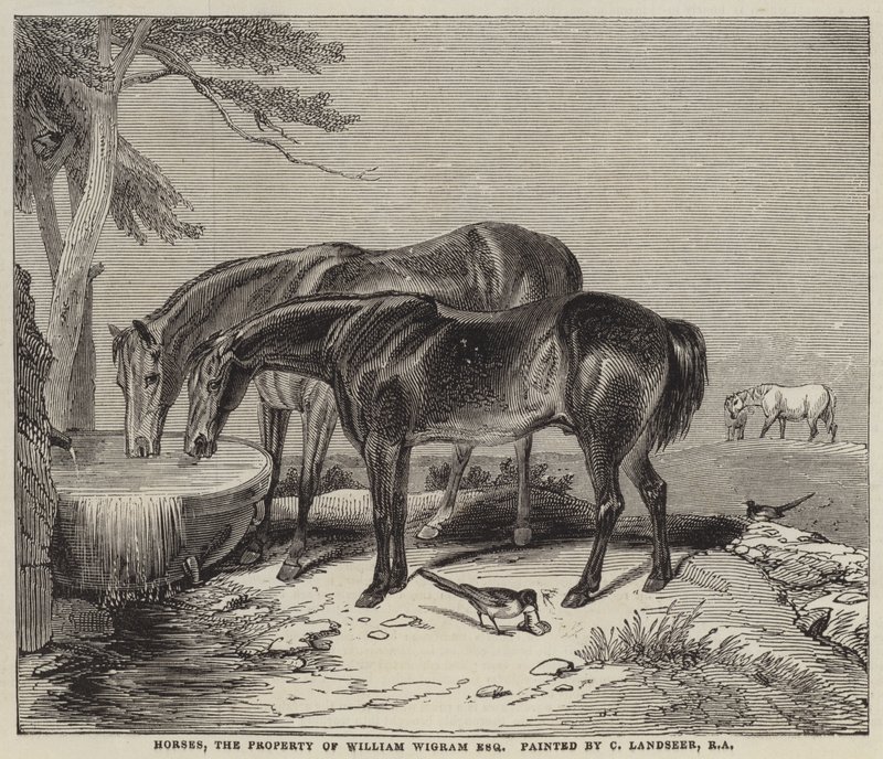 Horses, the Property of William Wigram, Esquire by Charles Landseer