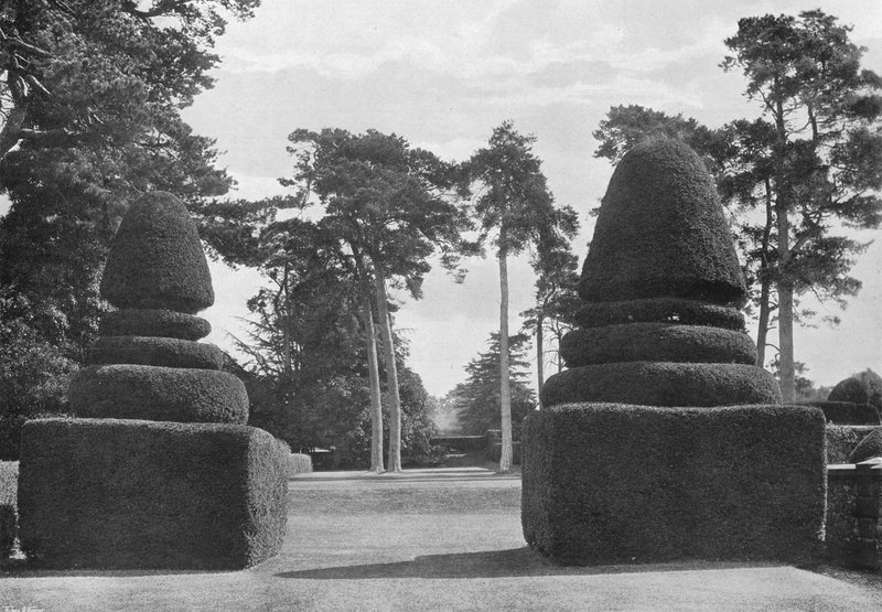 The Red Shafts of the Great Scotch Firs by Charles Latham