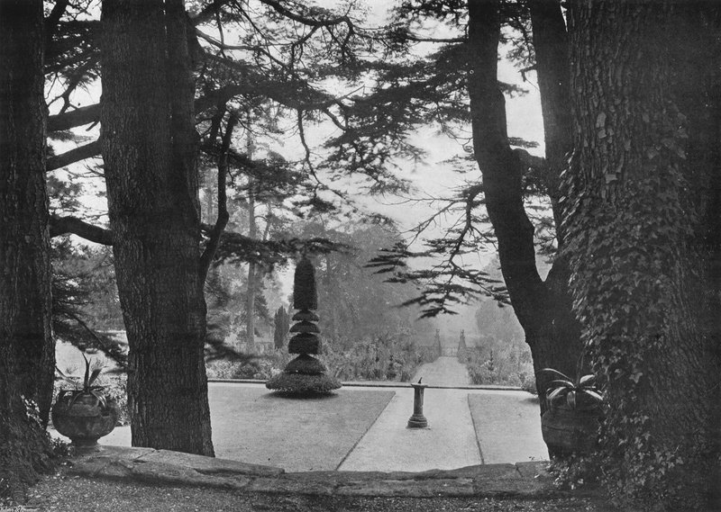 Under the Cedars by Charles Latham