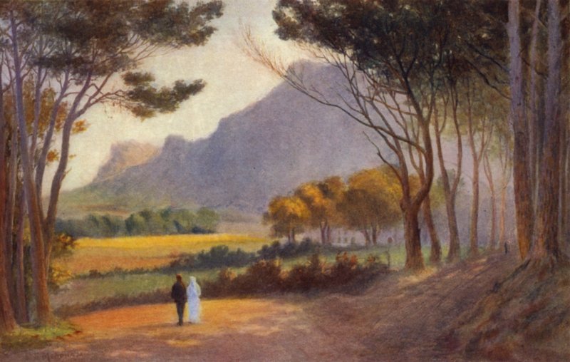 Cape Peninsula, South Africa: Alphen by Charles Stephen Meacham