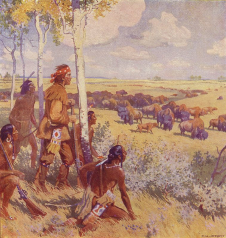Kelsey sights the Buffalo by Charles William (after) Jefferys