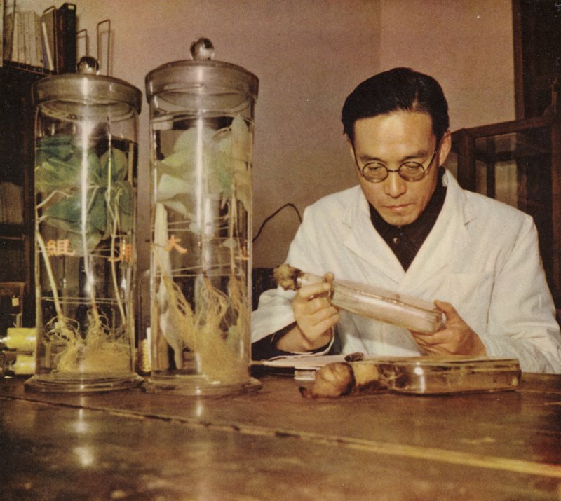 Chinese Agricultural Chemist from the Changchun Research Institute, 1950s by Chinese Photographer