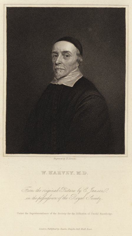 William Harvey by Cornelius Janssen van Ceulen