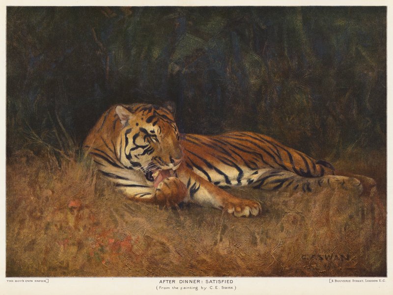 After Dinner, Satisfied by Cuthbert Edmund Swan