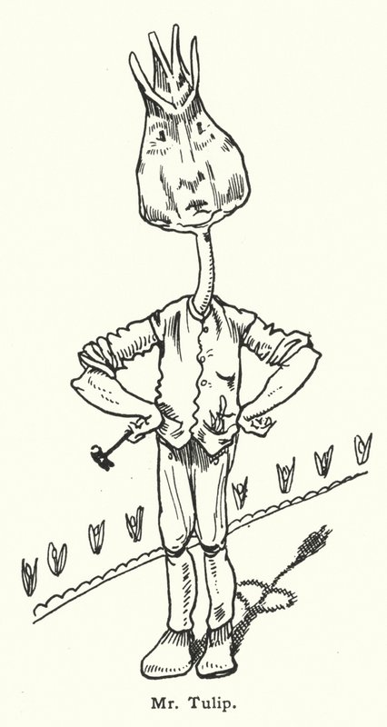 Mr Tulip by Dion Clayton Calthrop