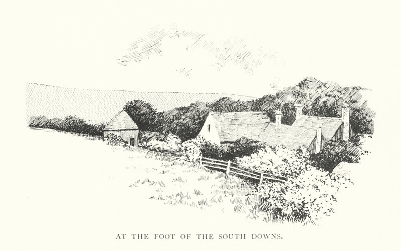 At the Foot of the South Downs by Duncan Moul