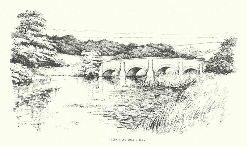 Bridge at Box Hill by Duncan Moul