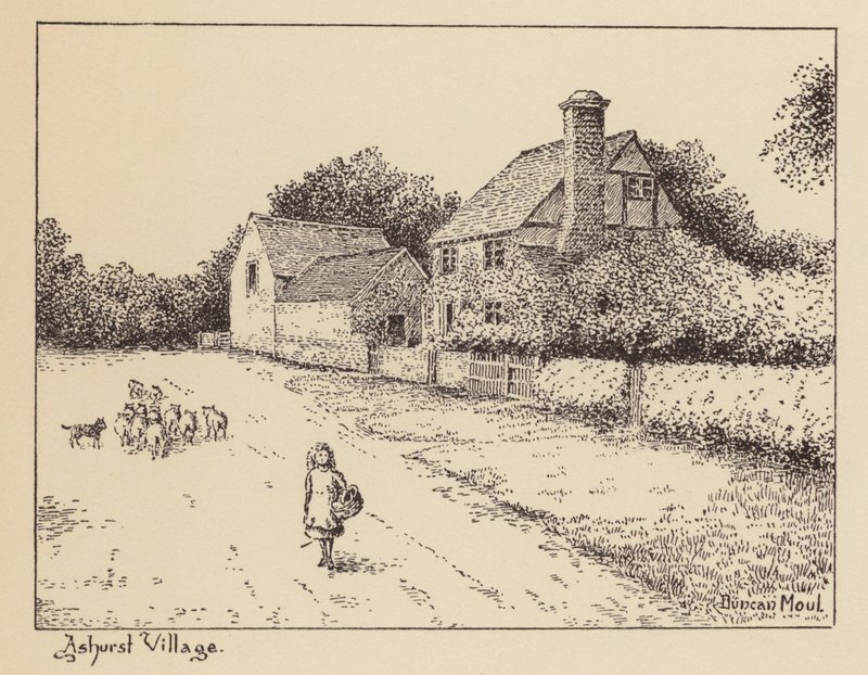 Sussex: Ashurst Village by Duncan Moul