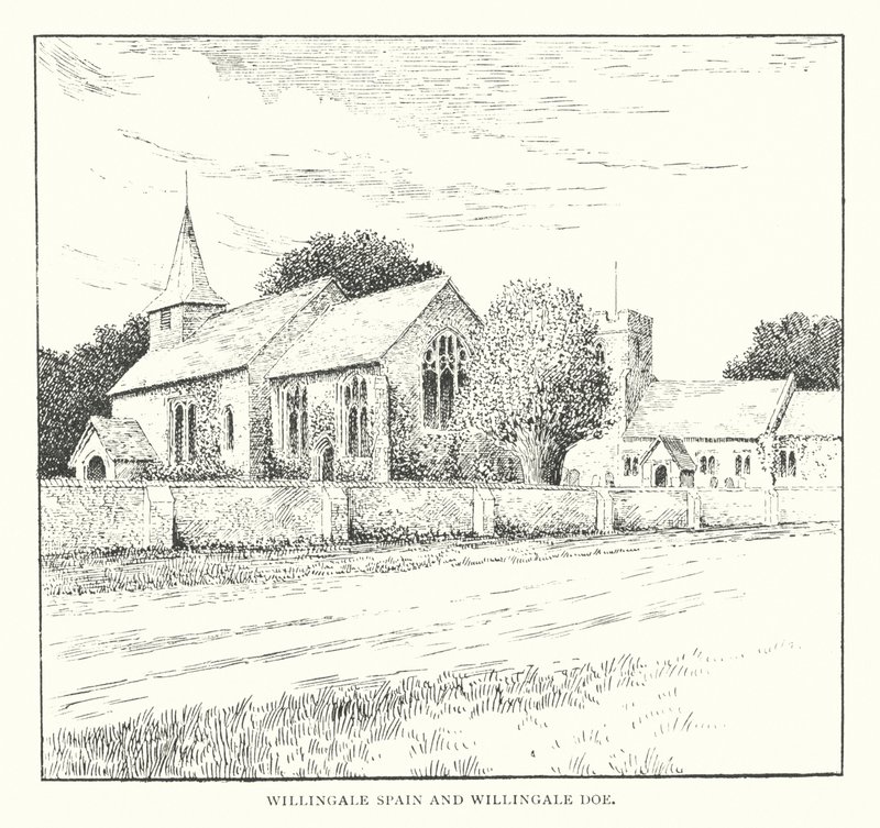 Willingale Spain and Willingale Doe by Duncan Moul